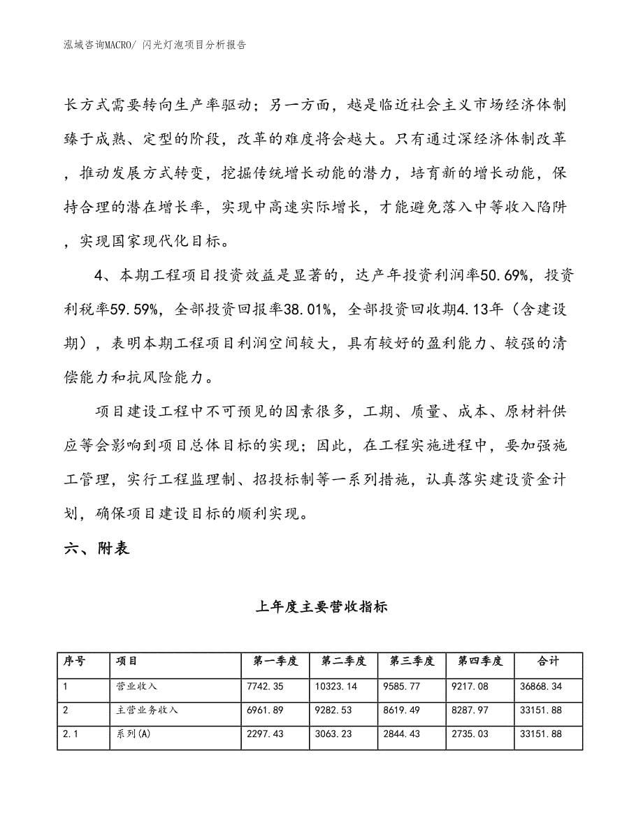 闪光灯泡项目分析报告_第5页