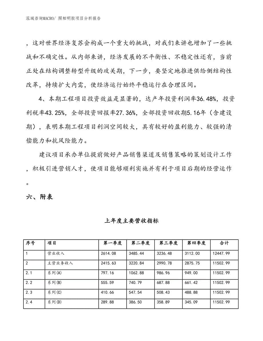 照相明胶项目分析报告_第5页