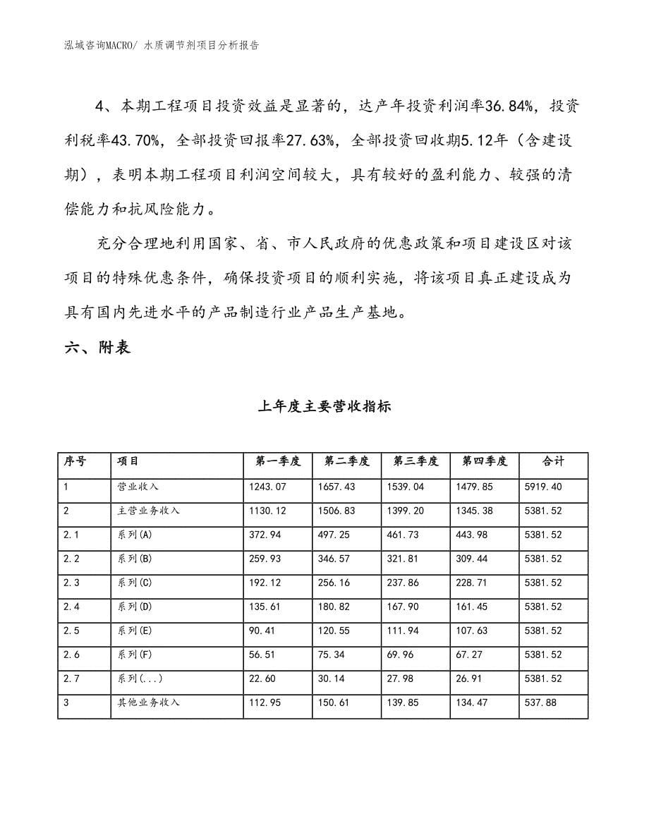 水质调节剂项目分析报告_第5页