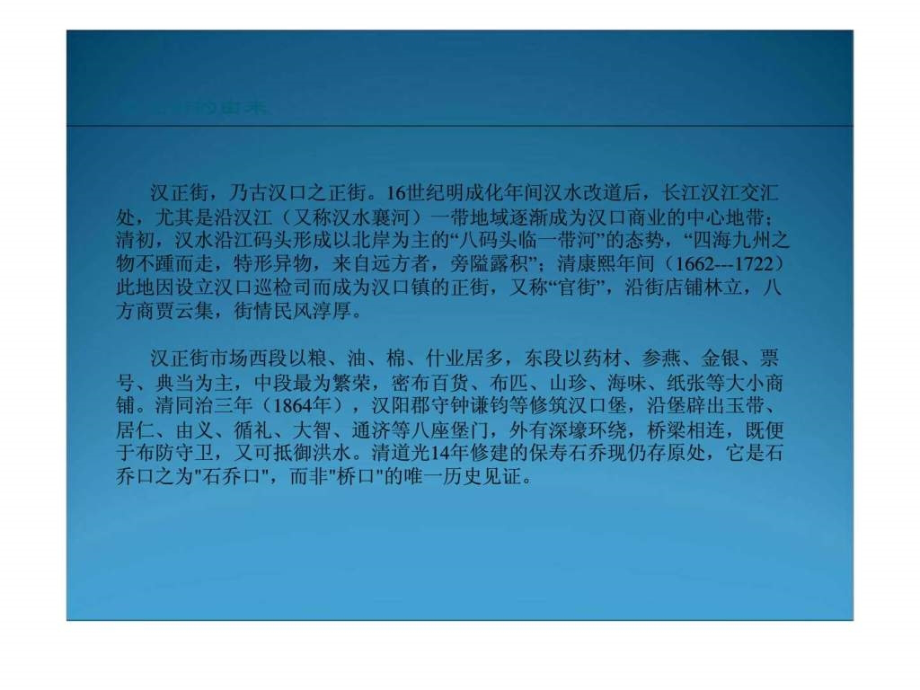 2008年武汉市汉正街商业项目商圈调研报告_第4页