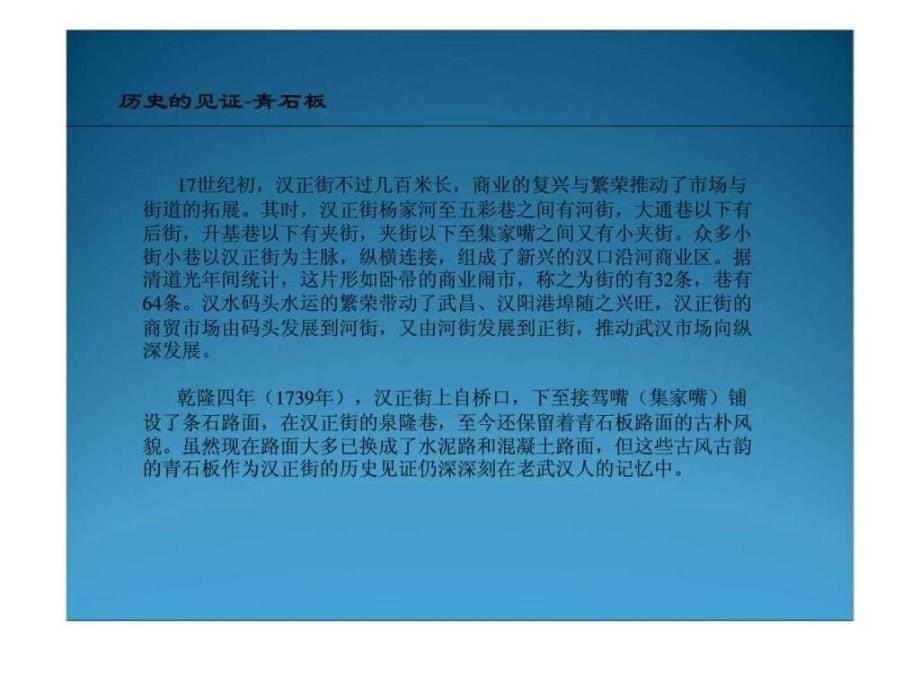 2008年武汉市汉正街商业项目商圈调研报告_第5页