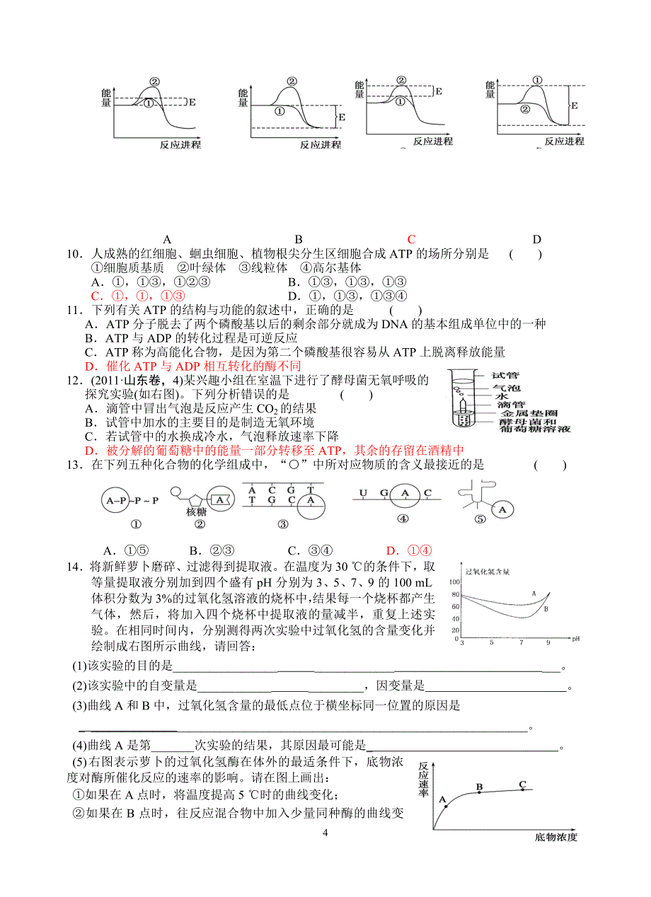 细胞内的能量供应和利用_第4页