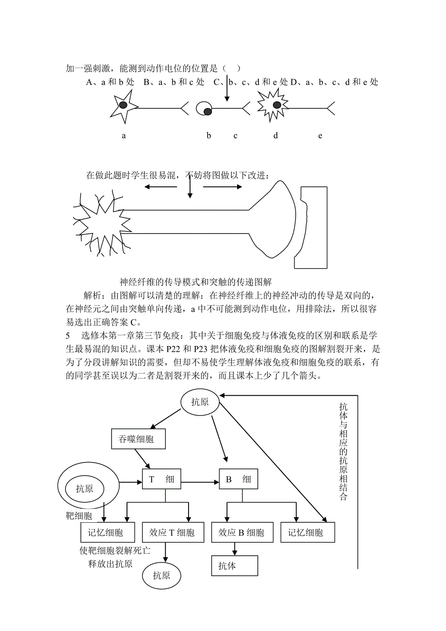 高中生物新教材几处图解的疑点_第4页