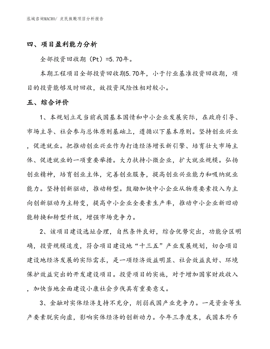 皮民族靴项目分析报告_第4页