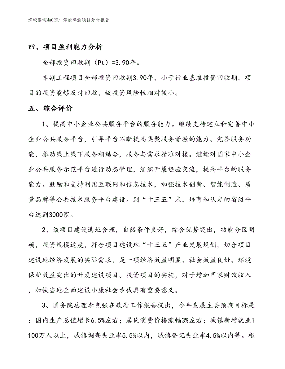 浑浊啤酒项目分析报告_第4页