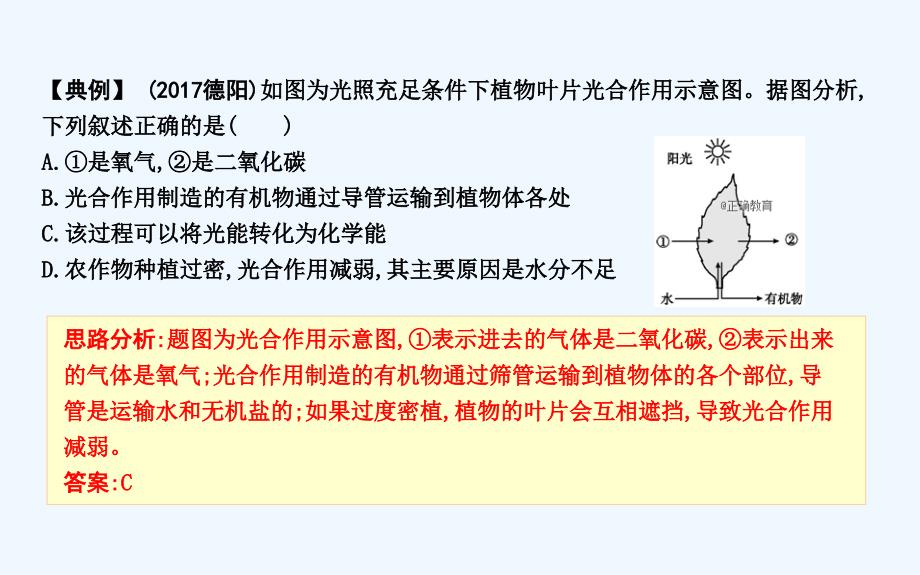 2018-2019学年七年级生物人教版上册课件：第3单元 第4-6章.ppt_第2页