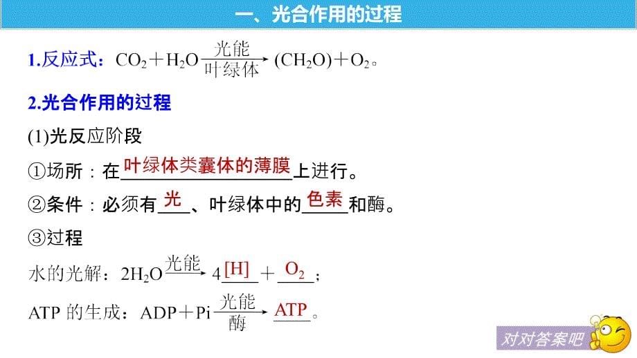 2018-2019学年步步高人教版生物必修一课件：5.4.2-5.4.3 光合作用的过程及原理的应用（步步高） .pptx_第5页