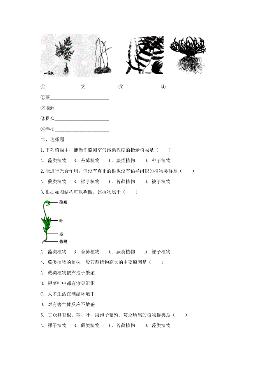 2018-2019学年七年级生物新人教版上册同步练习：3.1.1藻类、苔藓和蕨类植物（2）.doc_第2页