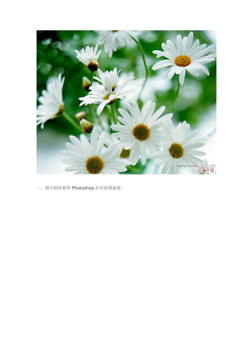 本教程介绍一些透明马赛克鲜花照片的处理技巧_第2页