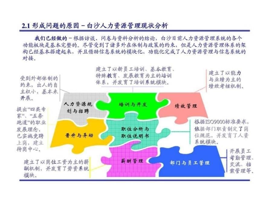 b白沙集团人力资源分析及管理体制研究报告_第5页