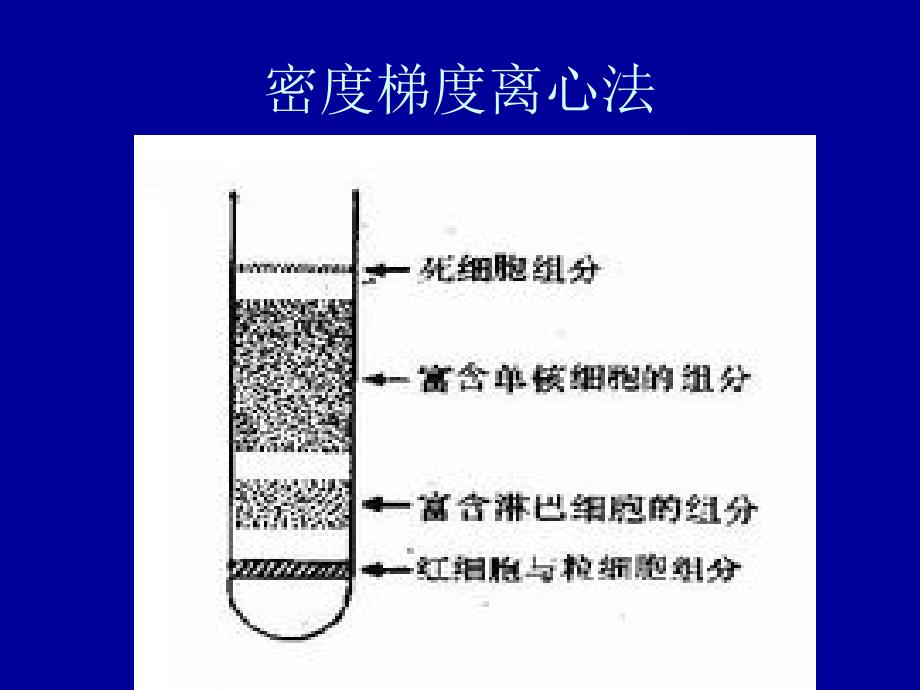 密度梯度离心法取单个核细胞具体方法_第3页