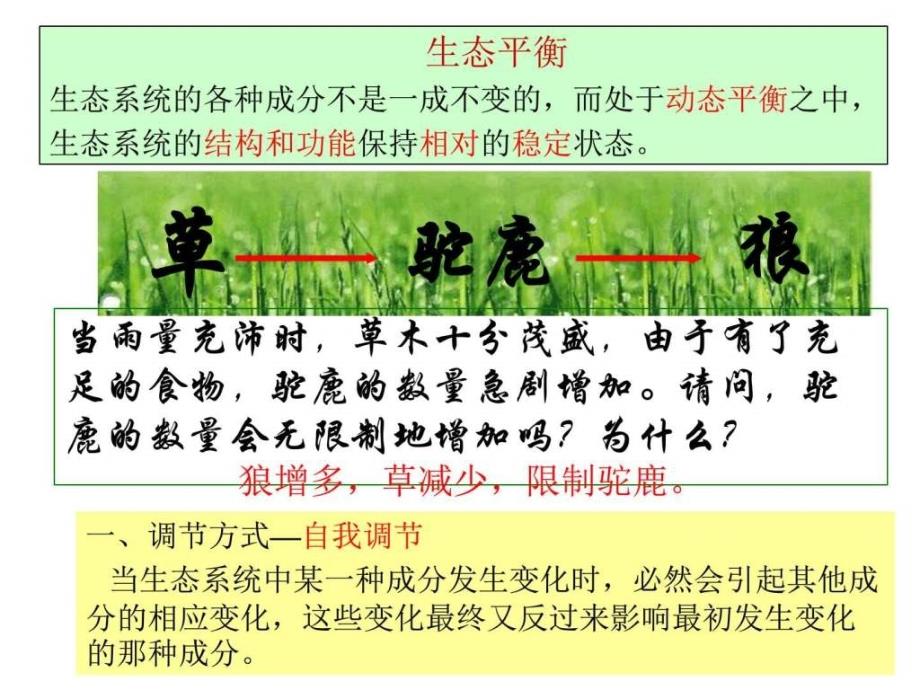 课件_生态系统的自我调节_第1页