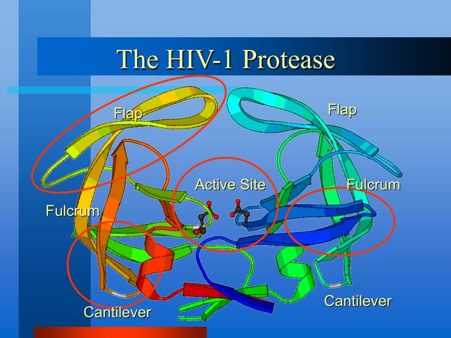 abinitiomdstudiesofhiv-1protease：hiv-1蛋白酶的从头计算分子动力学研究_第3页