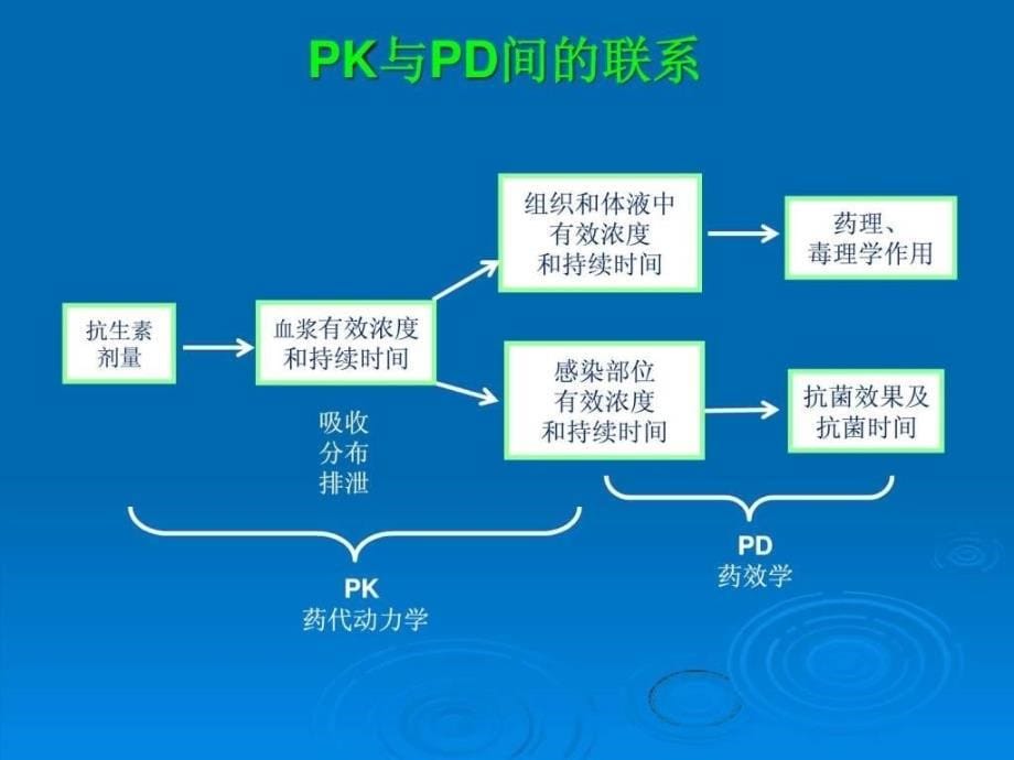 《抗菌药物的pdpk》ppt课件_第5页