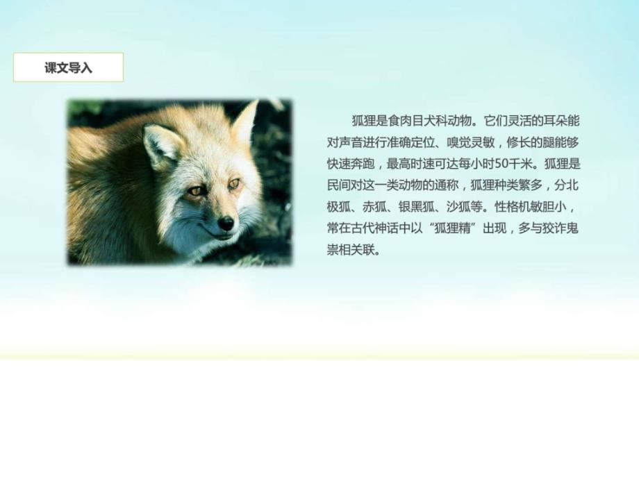 二年级上册语文课件-22狐狸分奶酪-人教(部编版)_第4页