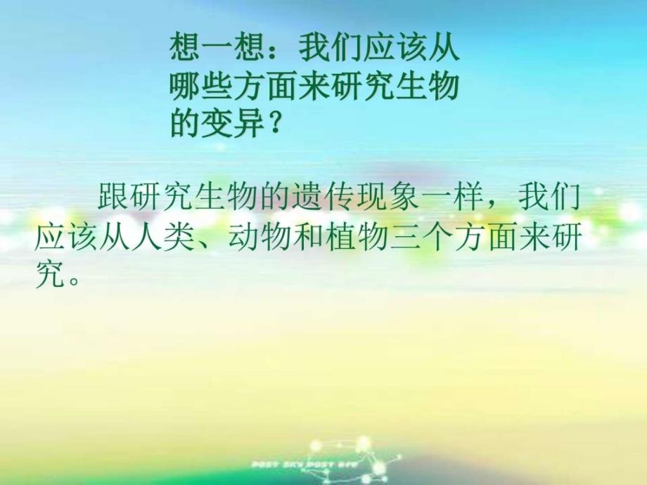 《2.生物的变异现象》课件_第2页