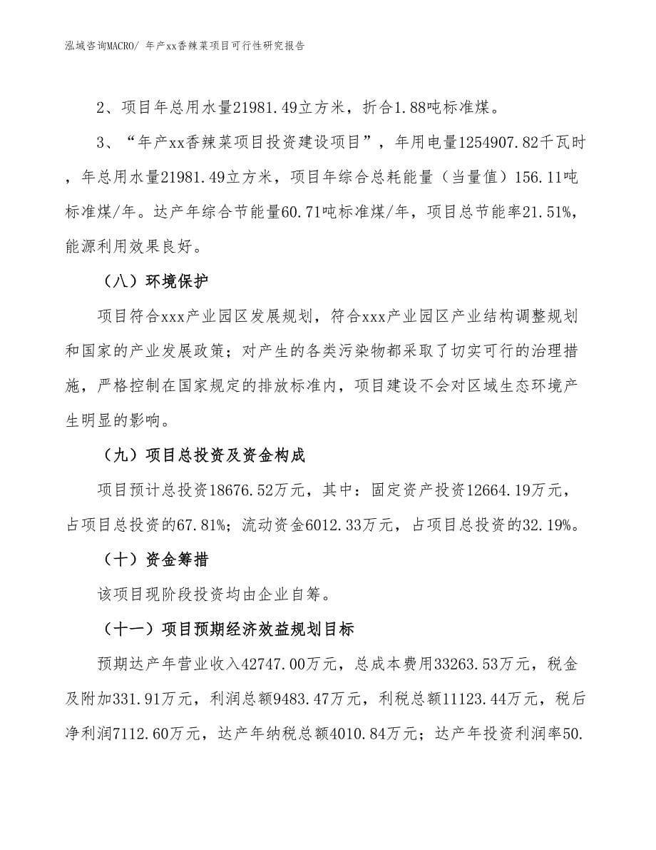 xxx产业园区年产xx香辣菜项目可行性研究报告_第5页