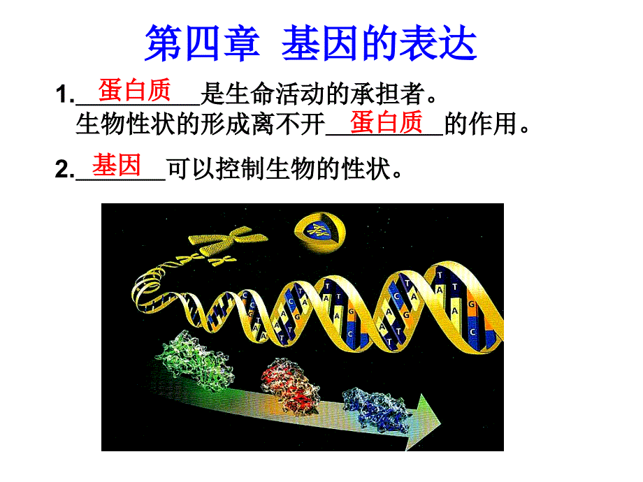 《转录和翻译》ppt课件_第1页