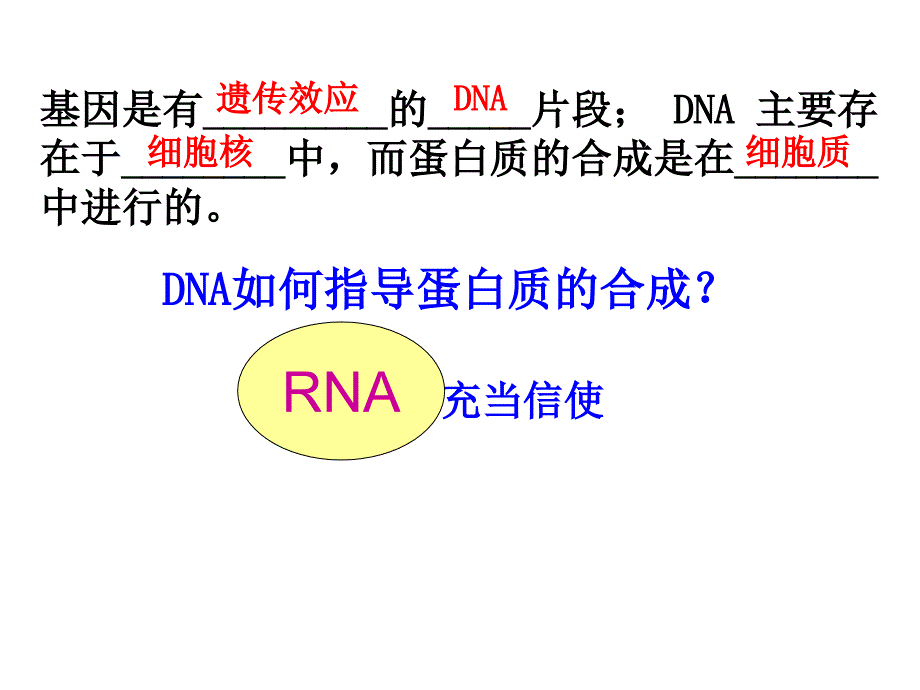 《转录和翻译》ppt课件_第3页