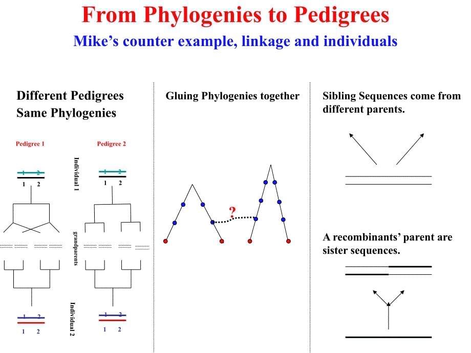 pedigreesfromgenomescomparativegenomicsofalternative从基因组的比较基因组学的替代系_第5页