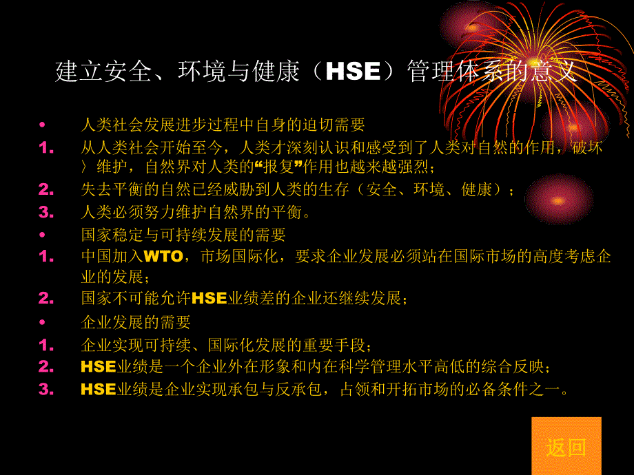 hse标准体系——中石化_第2页