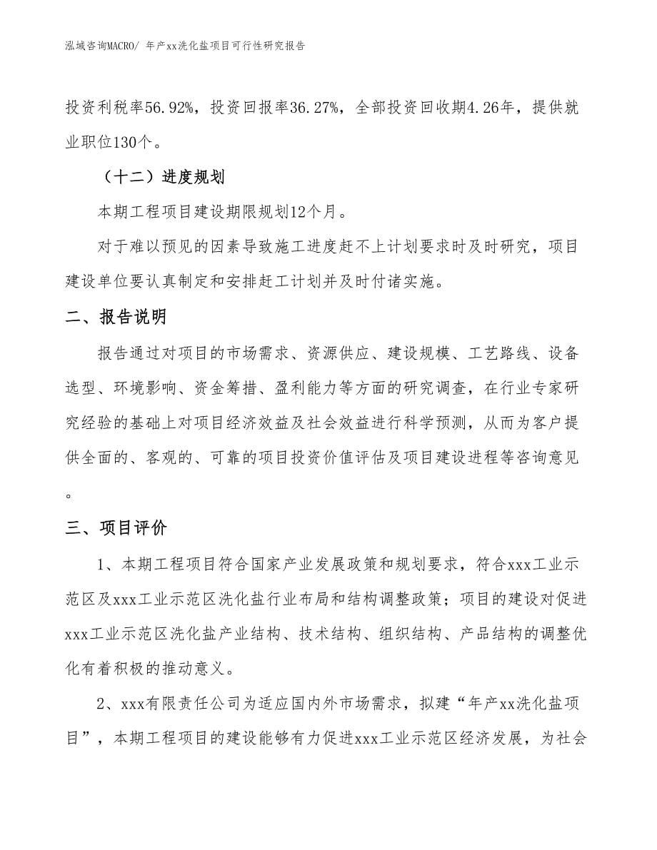 xxx工业示范区年产xx洗化盐项目可行性研究报告_第5页