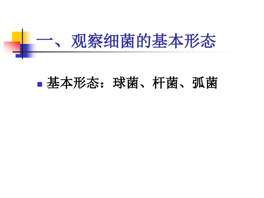 广中医微生物免疫实验一ppt课件_第4页