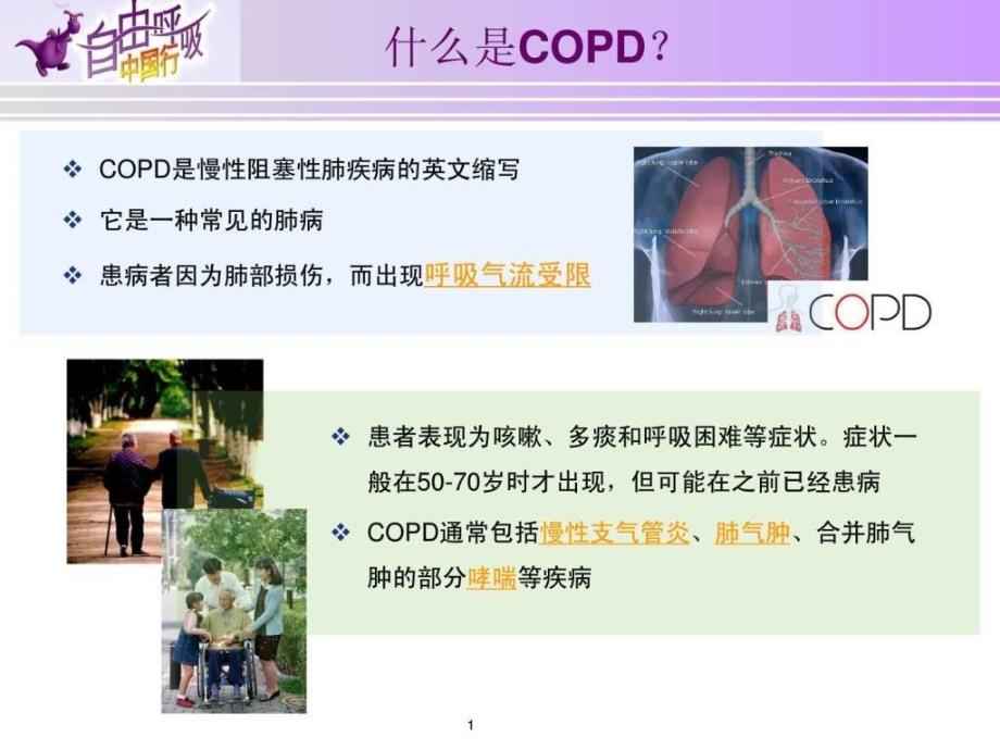 《copd宣传挂图》ppt课件_第1页