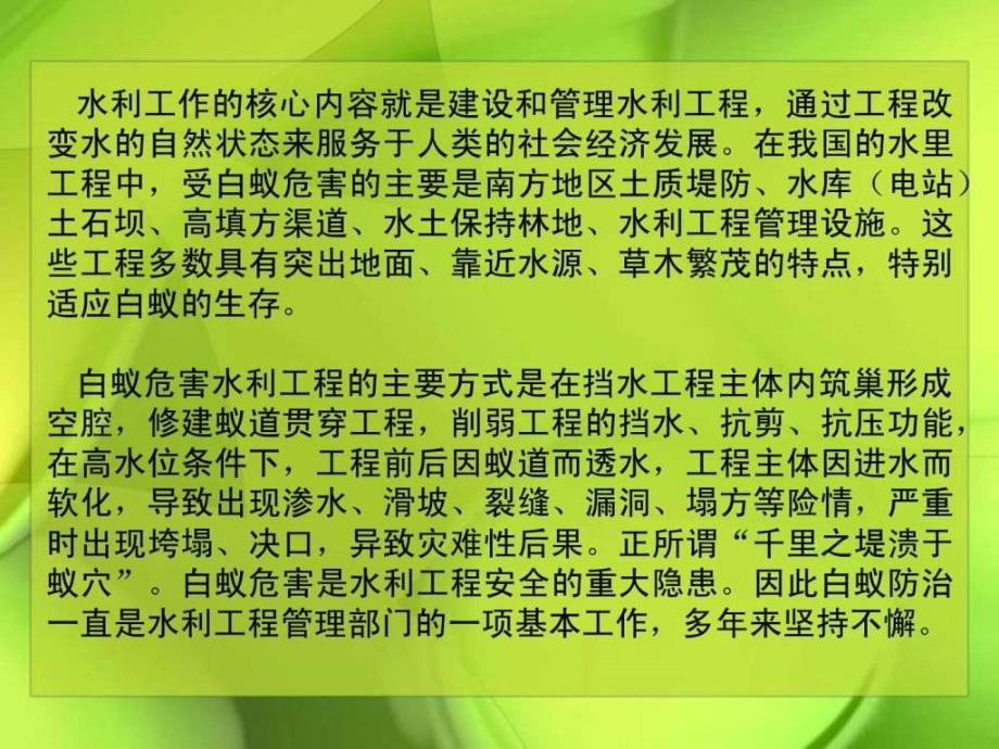 水利白蚁基础知识幻灯片_第3页