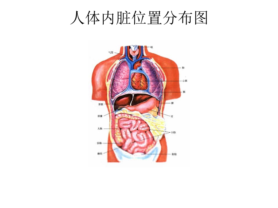 《急腹症a》ppt课件_第4页