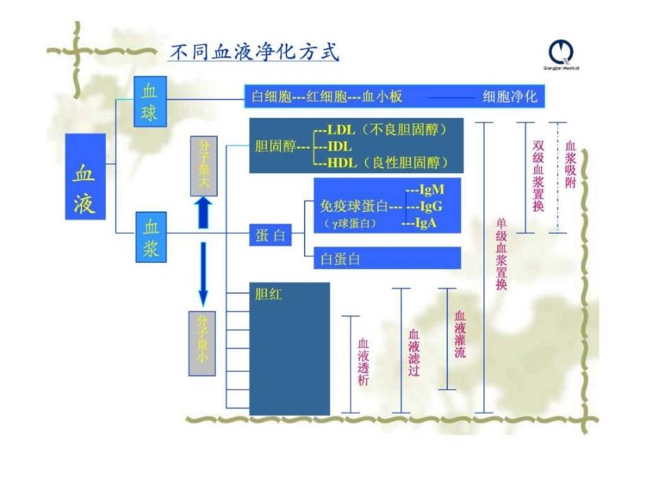 《透析器简介》ppt课件_第2页