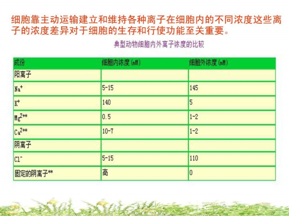 细胞生物学-物质的跨膜运输_第3页