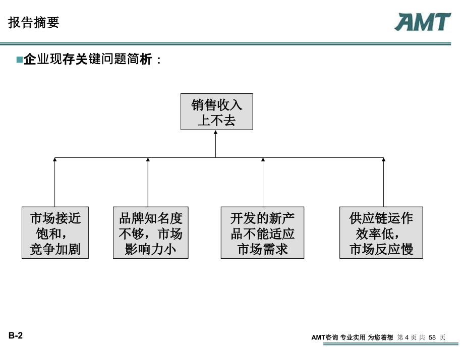 amt管理咨询案例分析大赛(服装行业)ppt_第4页