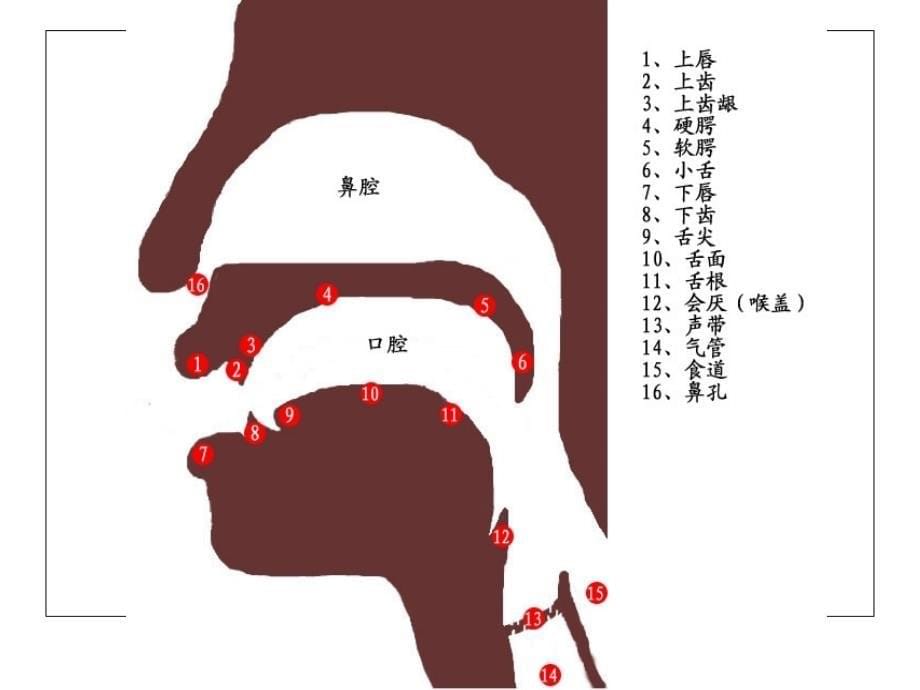 儿童文学作品表达技巧_第5页