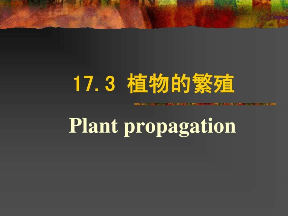 普通生物学-17-3-植物的结构、生殖和发育-植物的繁殖_第1页