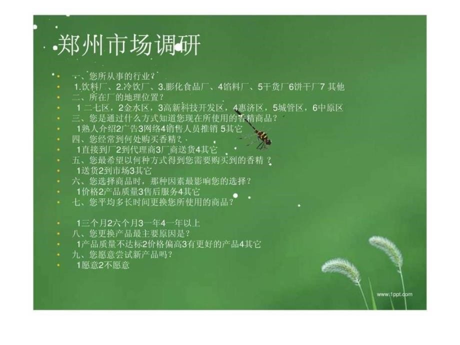 新郑州香精市场推广策划书_第5页