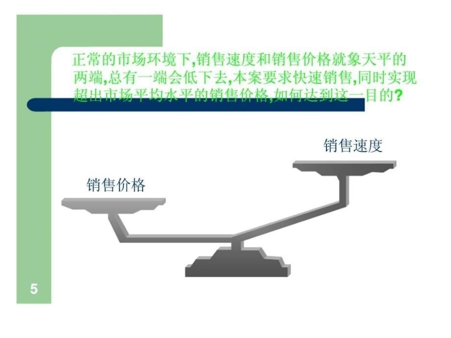 r莱茵东郡商业街营销策划报告_第5页