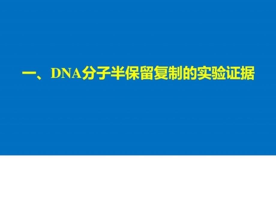 2018版高中生物第四章遗传的分子基础第二节dna的结构和_第5页