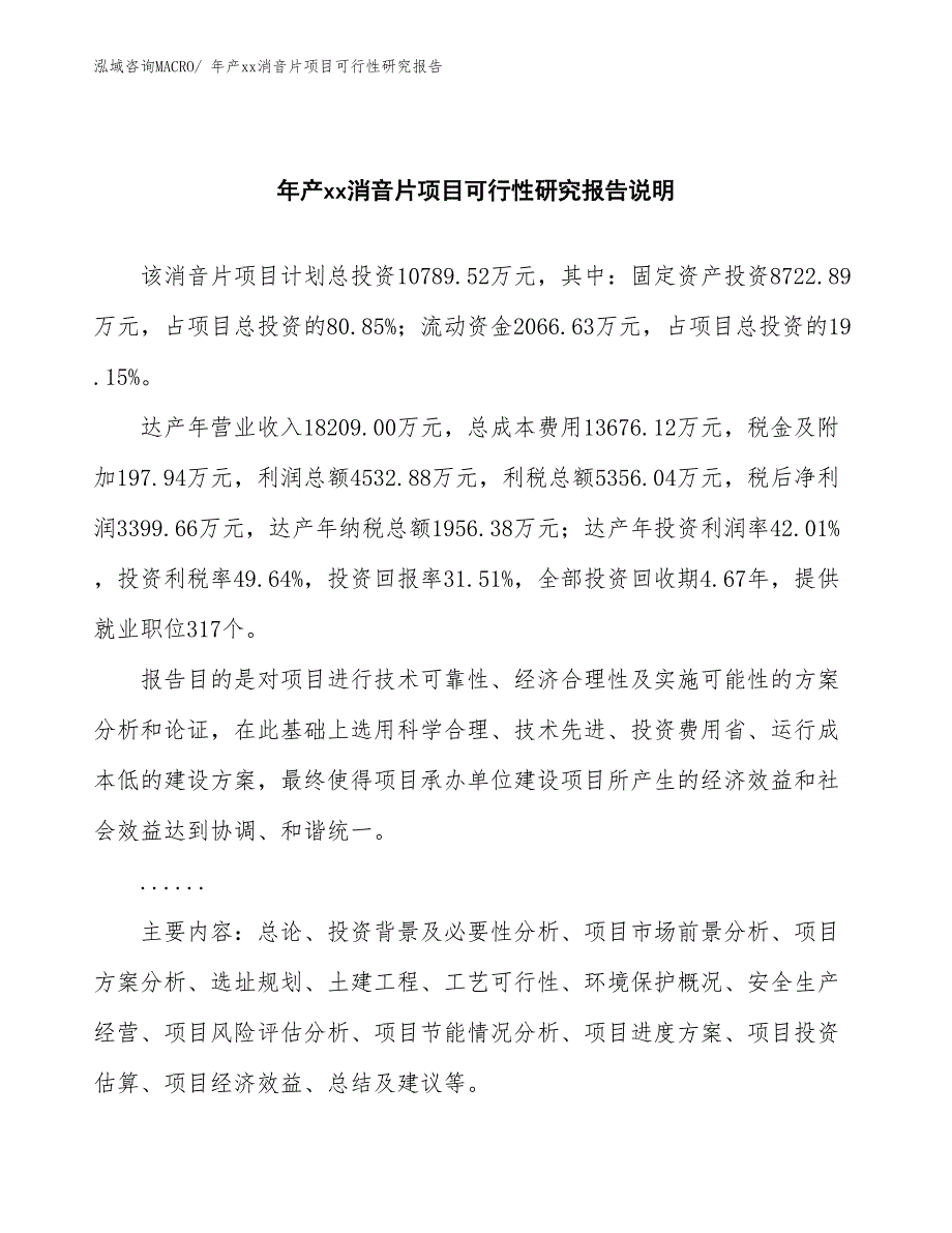 xxx高新区年产xx消音片项目可行性研究报告_第2页