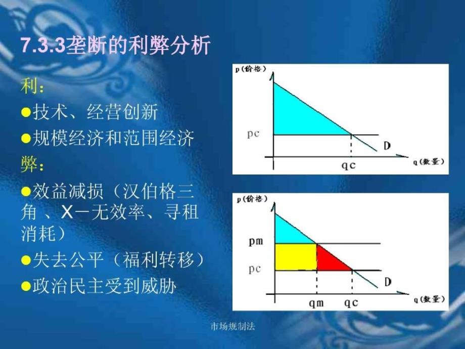 市场规制法2(nxpowerlite)_第3页