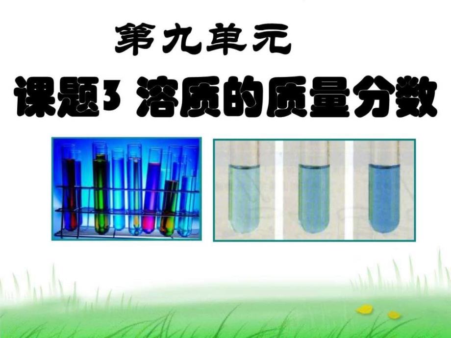 人教版化学九年级下册第九单元溶液课题3溶质的质量_第1页