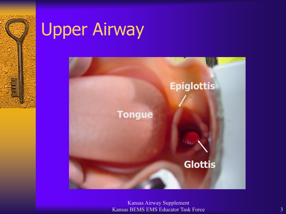 airwaymanagement,ventilation,oxygentherapy：气道管理，通风，氧疗_第3页