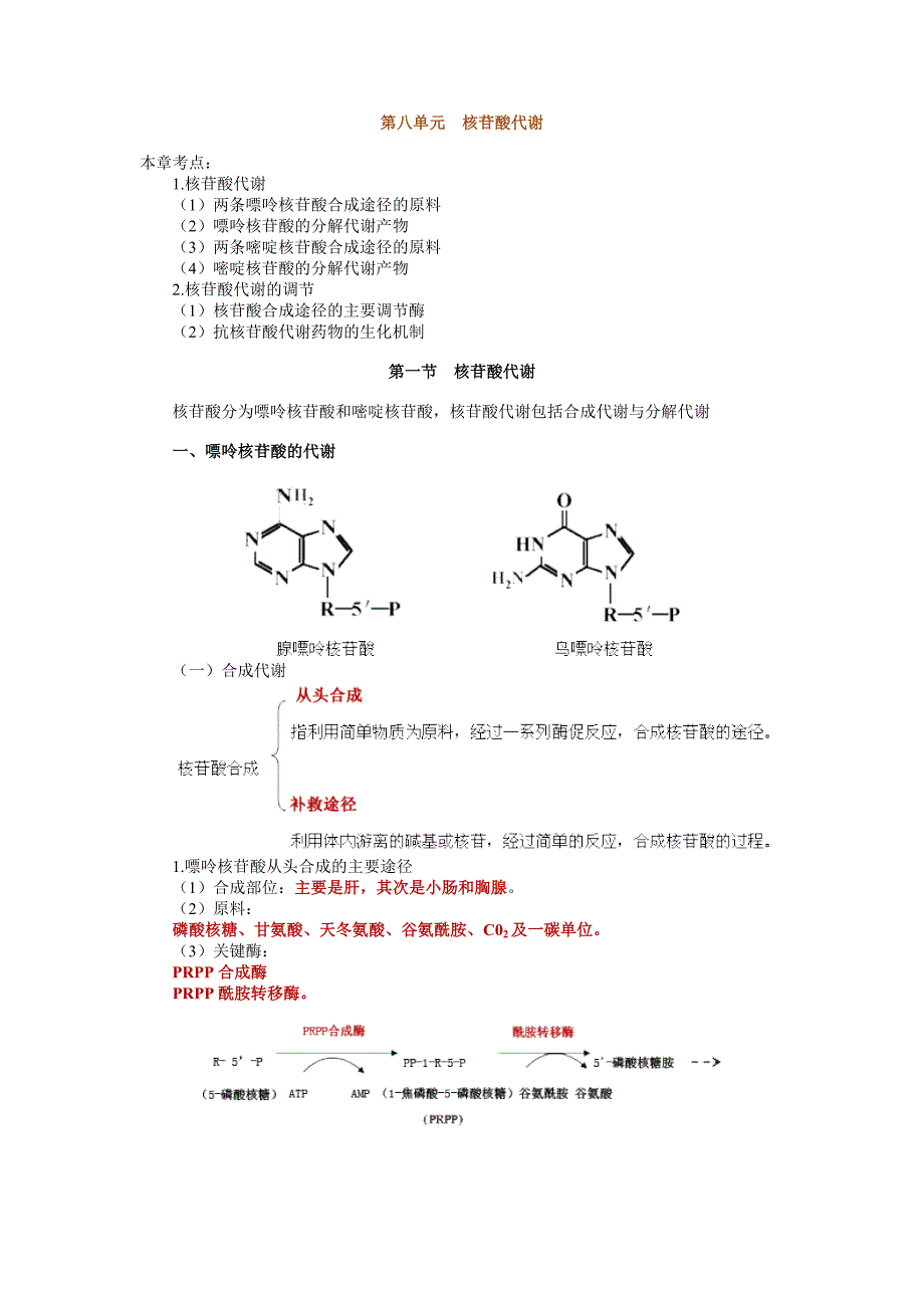 执业医师最新最全考点解析系列生物化学部分——核苷酸代谢_第1页