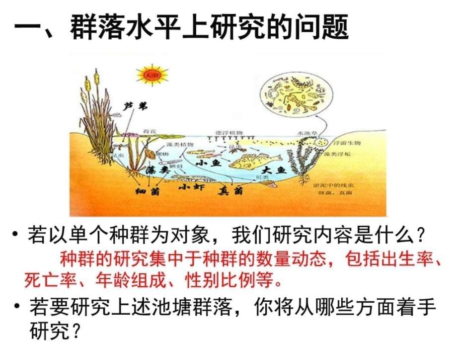 群落的结构(含小动物丰富度实验_第5页