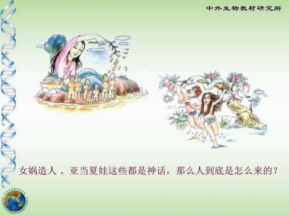 人类的起源和进化_图文.ppt_第2页