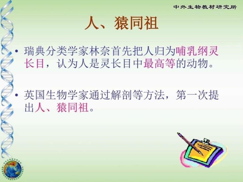 人类的起源和进化_图文.ppt_第5页