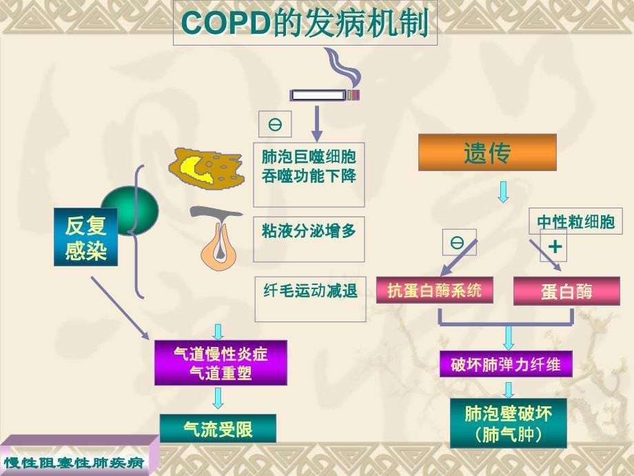 copd护理查房zhenshi2ppt课件_第5页