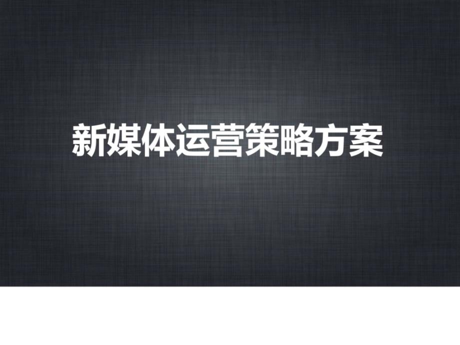 2016年互联网 自媒体整体运营策划方案_第1页