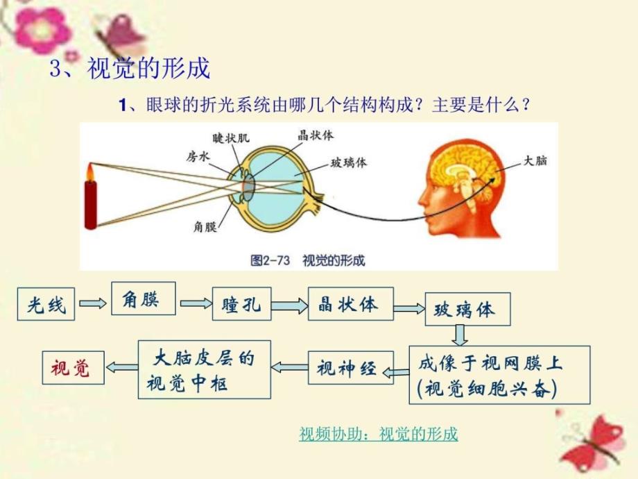 华师大版科学八下2.4《眼的成像原理视力的矫正》ppt课_第4页