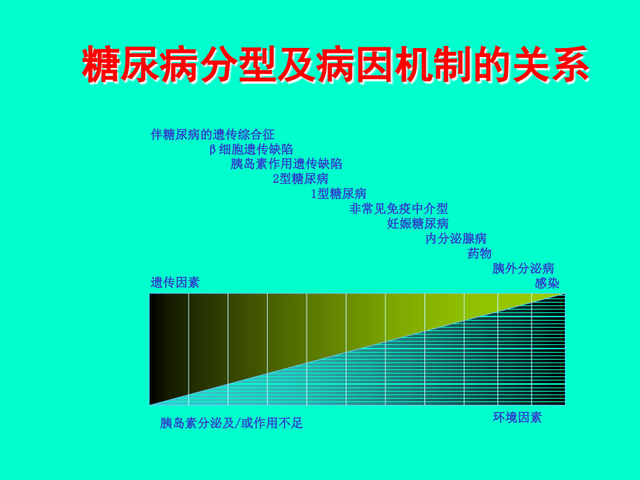 胰岛素分泌.ppt_第3页